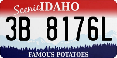 ID license plate 3B8176L