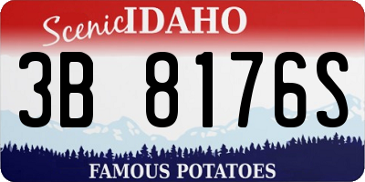 ID license plate 3B8176S
