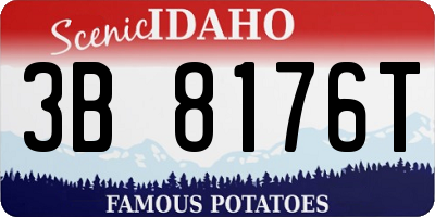 ID license plate 3B8176T