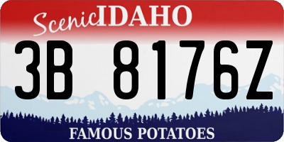 ID license plate 3B8176Z
