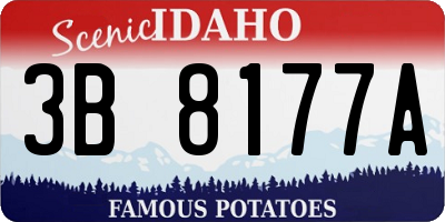 ID license plate 3B8177A
