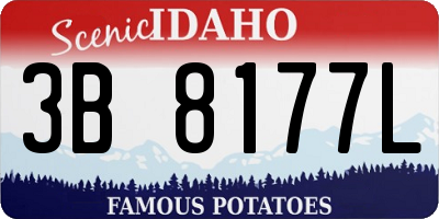 ID license plate 3B8177L