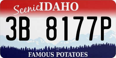 ID license plate 3B8177P