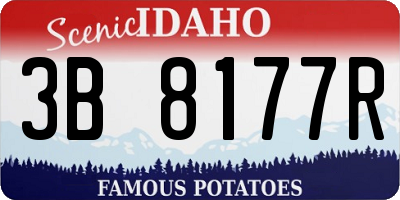 ID license plate 3B8177R