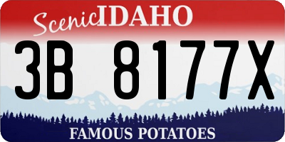 ID license plate 3B8177X