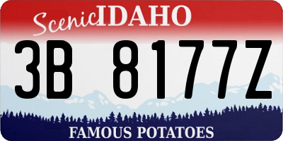 ID license plate 3B8177Z