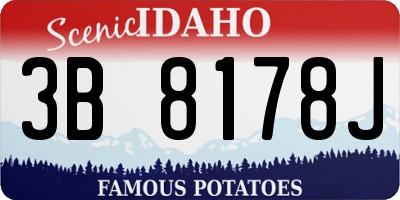 ID license plate 3B8178J