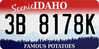 ID license plate 3B8178K