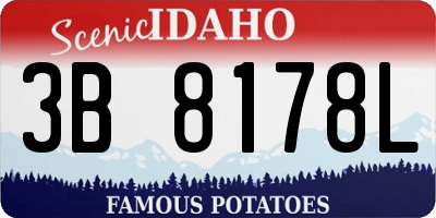 ID license plate 3B8178L