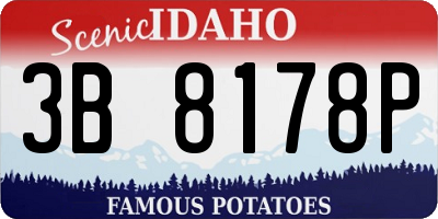 ID license plate 3B8178P