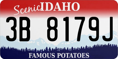 ID license plate 3B8179J