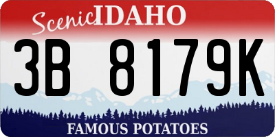 ID license plate 3B8179K
