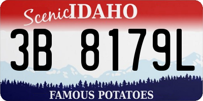 ID license plate 3B8179L