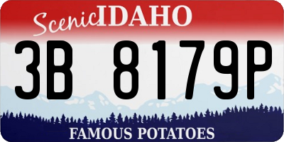 ID license plate 3B8179P