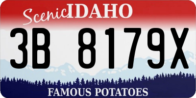 ID license plate 3B8179X