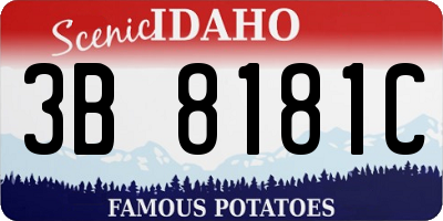 ID license plate 3B8181C