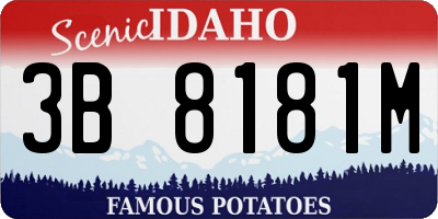 ID license plate 3B8181M