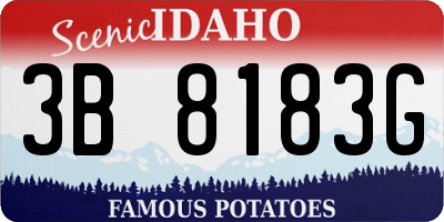 ID license plate 3B8183G