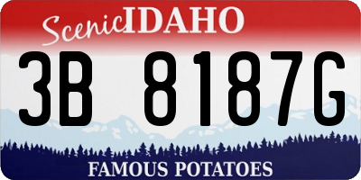 ID license plate 3B8187G