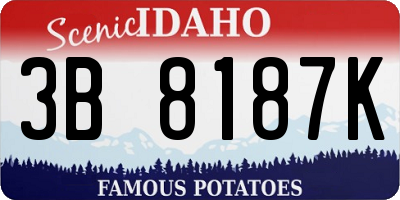 ID license plate 3B8187K