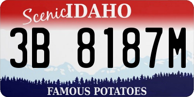 ID license plate 3B8187M