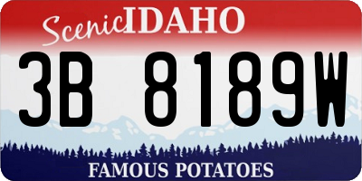 ID license plate 3B8189W