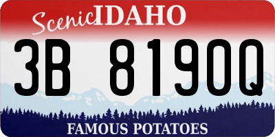 ID license plate 3B8190Q