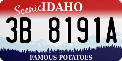 ID license plate 3B8191A