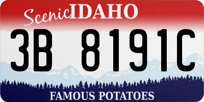 ID license plate 3B8191C