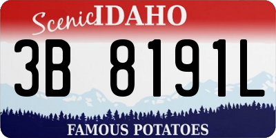 ID license plate 3B8191L