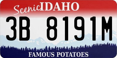 ID license plate 3B8191M