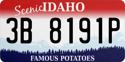 ID license plate 3B8191P