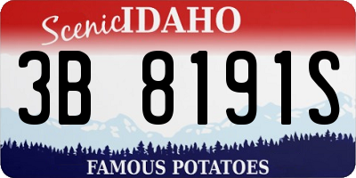 ID license plate 3B8191S