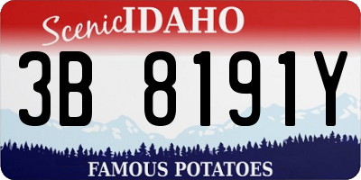 ID license plate 3B8191Y