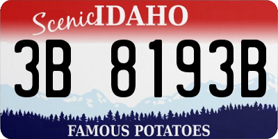 ID license plate 3B8193B