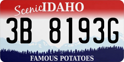 ID license plate 3B8193G