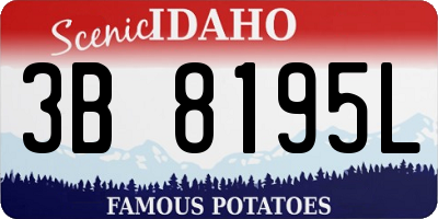 ID license plate 3B8195L