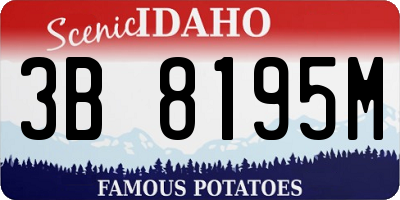 ID license plate 3B8195M