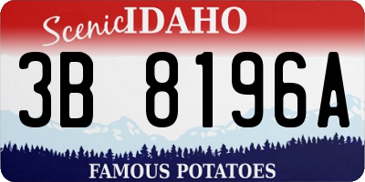 ID license plate 3B8196A
