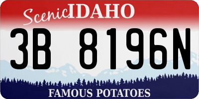 ID license plate 3B8196N