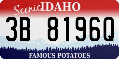 ID license plate 3B8196Q