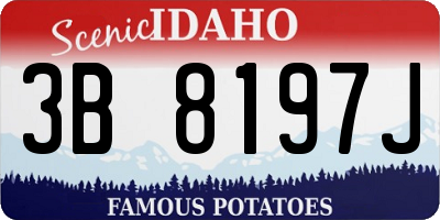ID license plate 3B8197J