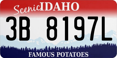 ID license plate 3B8197L