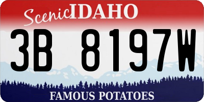 ID license plate 3B8197W