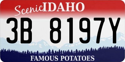 ID license plate 3B8197Y