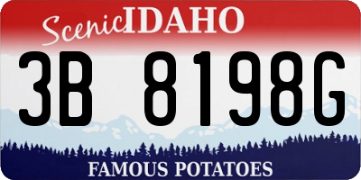 ID license plate 3B8198G