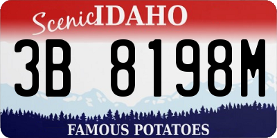 ID license plate 3B8198M