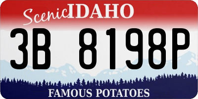 ID license plate 3B8198P
