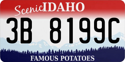 ID license plate 3B8199C
