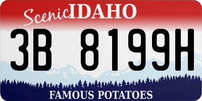ID license plate 3B8199H